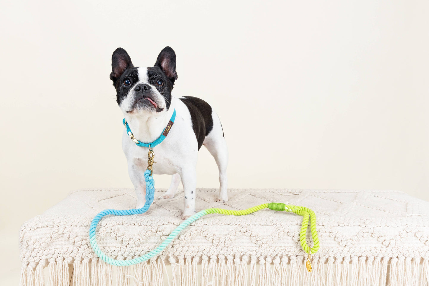 Alexandria Rope Dog Leash | Dog Leash | Blue Ombre Leash