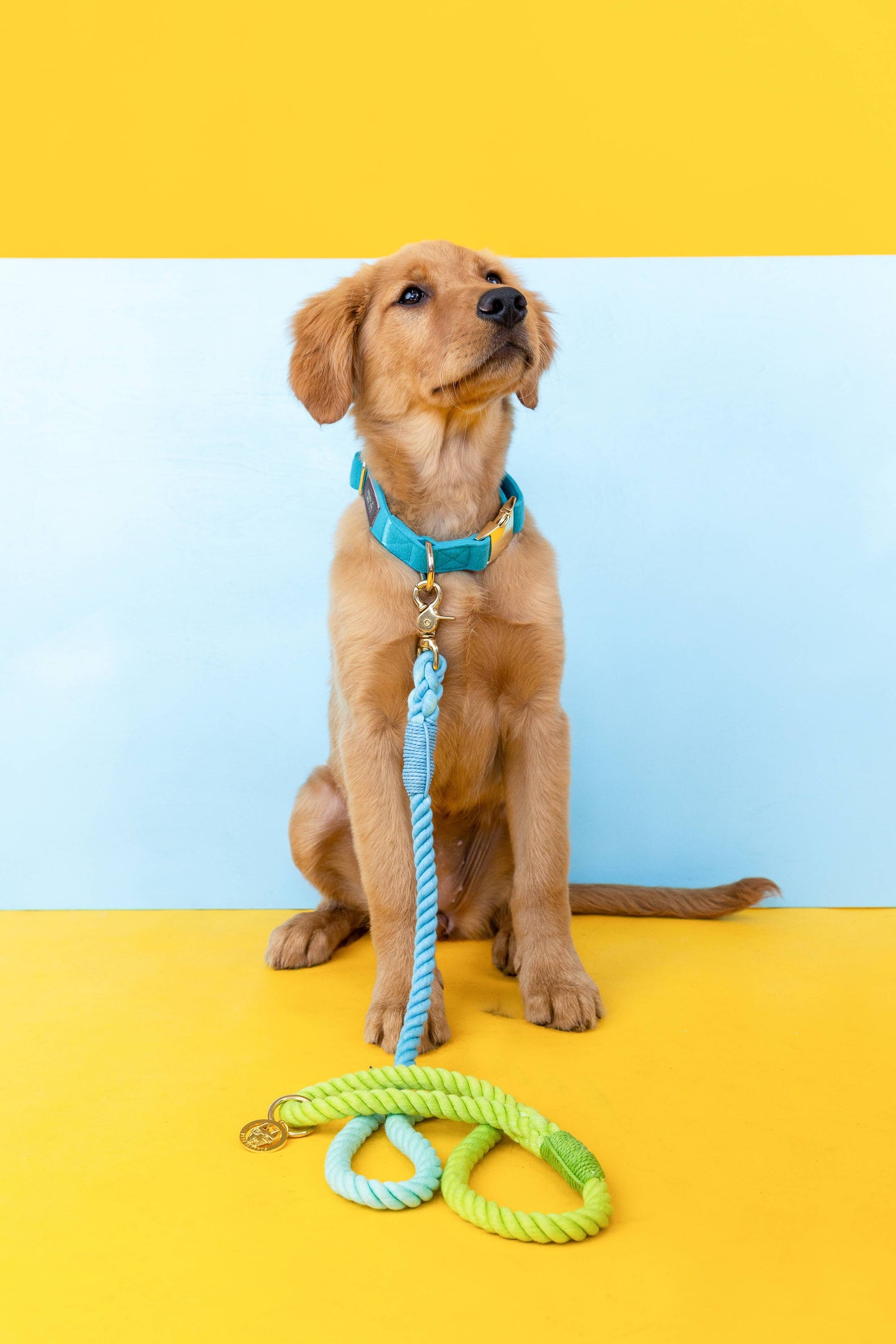 Alexandria Rope Dog Leash | Dog Leash | Blue Ombre Leash