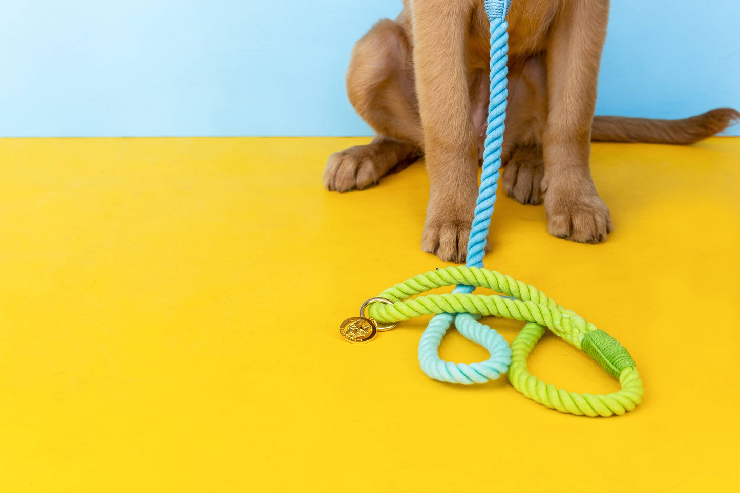 Alexandria Rope Dog Leash | Dog Leash | Blue Ombre Leash