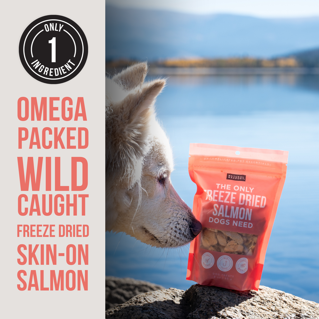 Freeze Dried Salmon