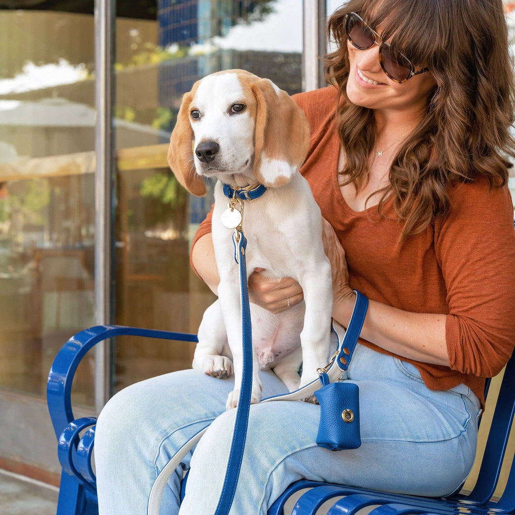 Cobalt Leather Leash
