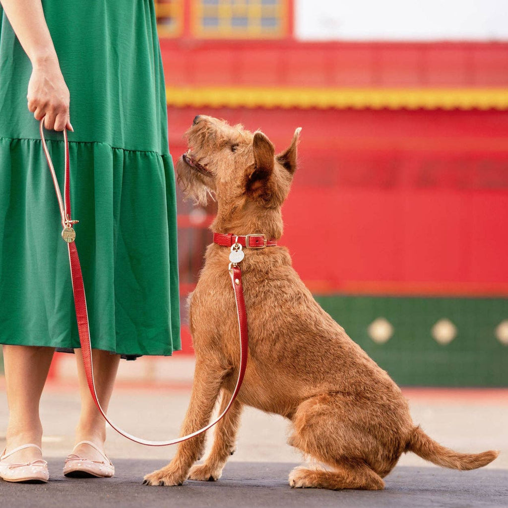 Red Rose Leather Leash