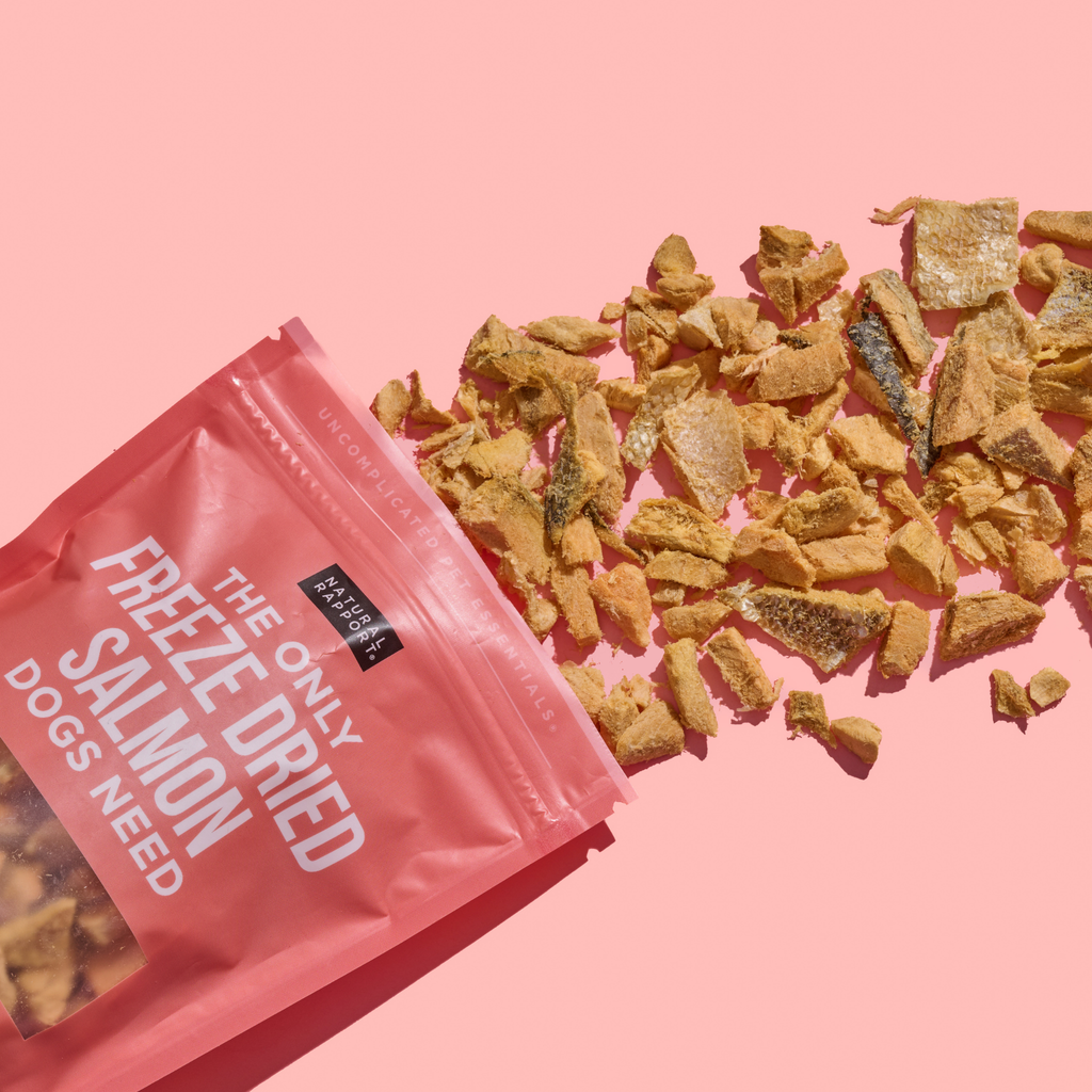 Freeze Dried Salmon