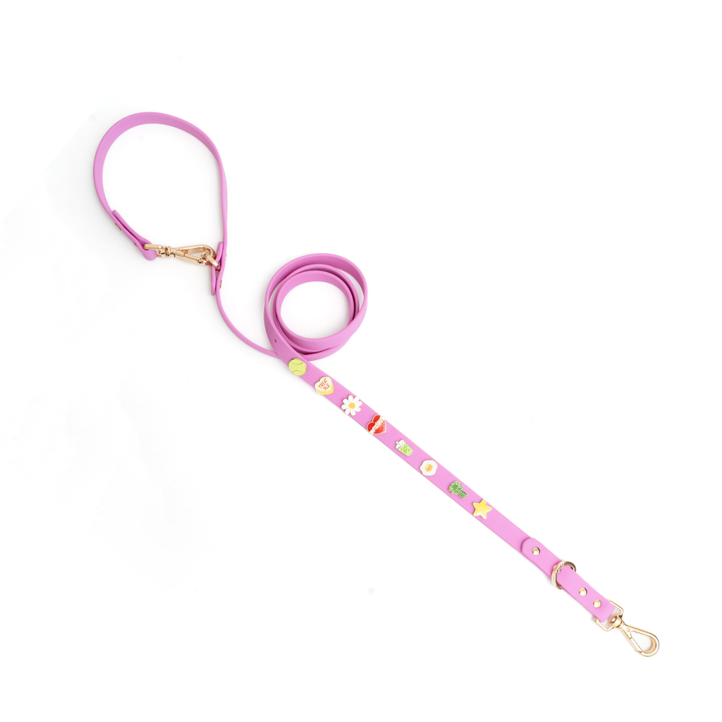 Moodies Leash