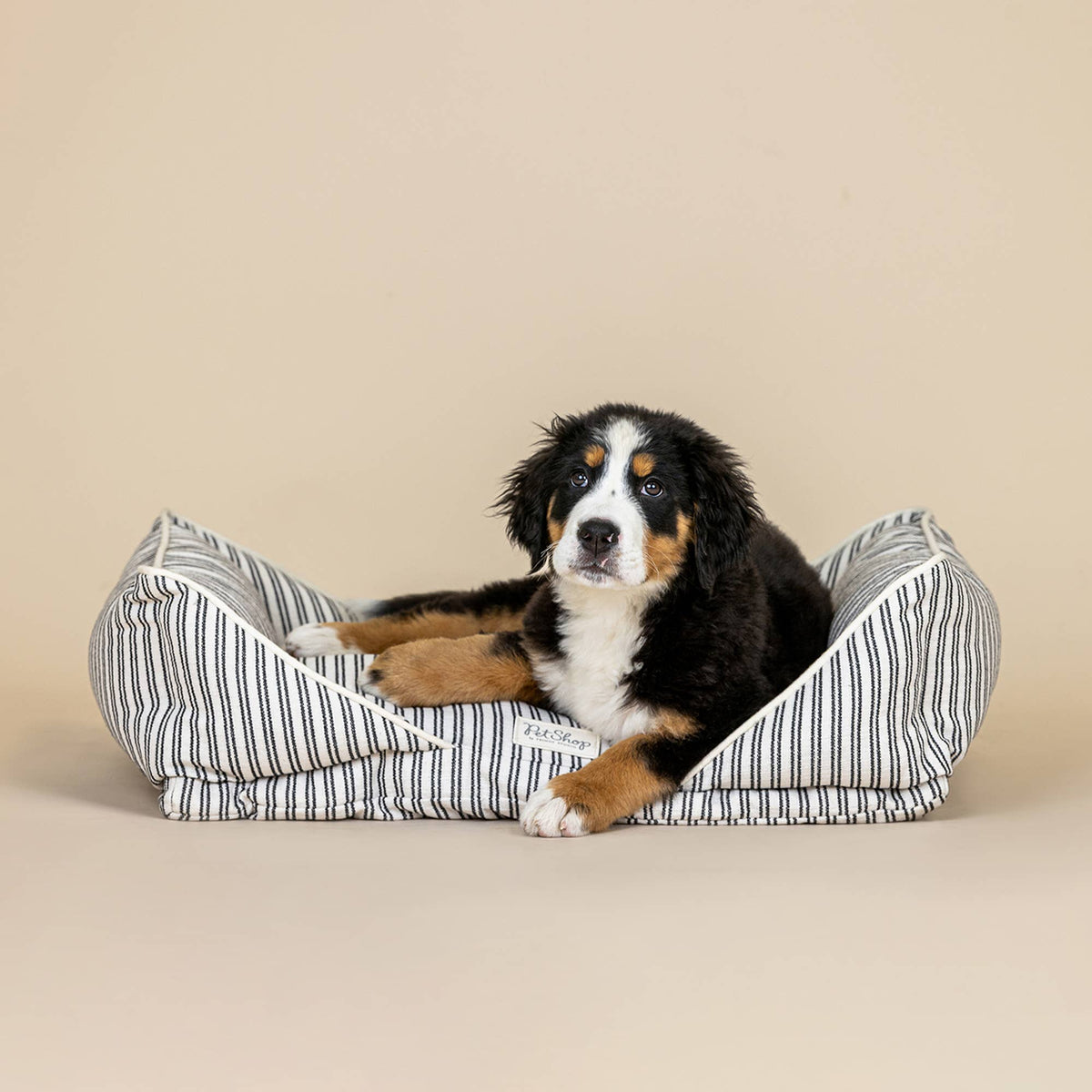 YARN DYE STRIPE MODERN MED CUDDLER PET BED