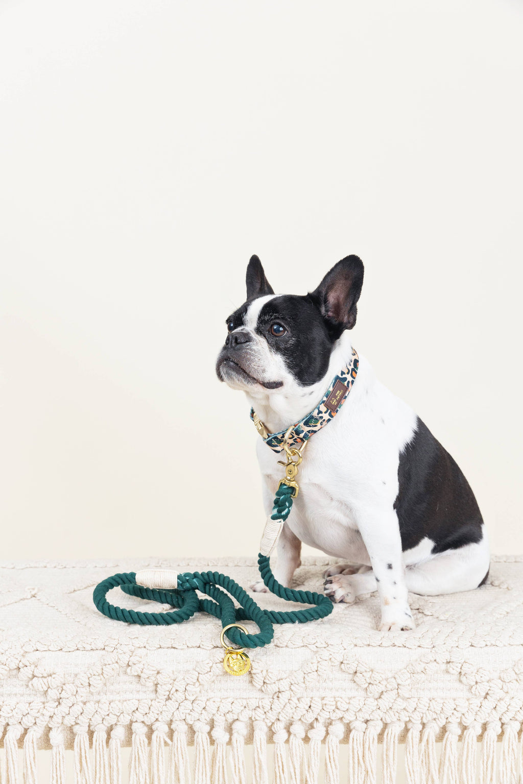Sam Rope Dog Leash | Dog Leash | Green Leash