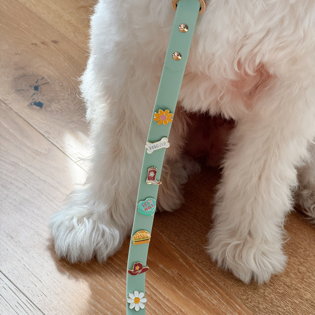 Moodies Leash
