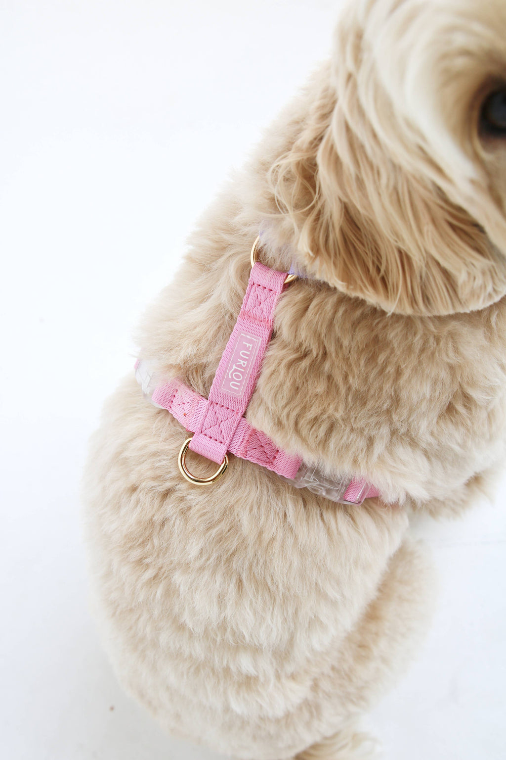 Lavender + Pink - Dog Harness