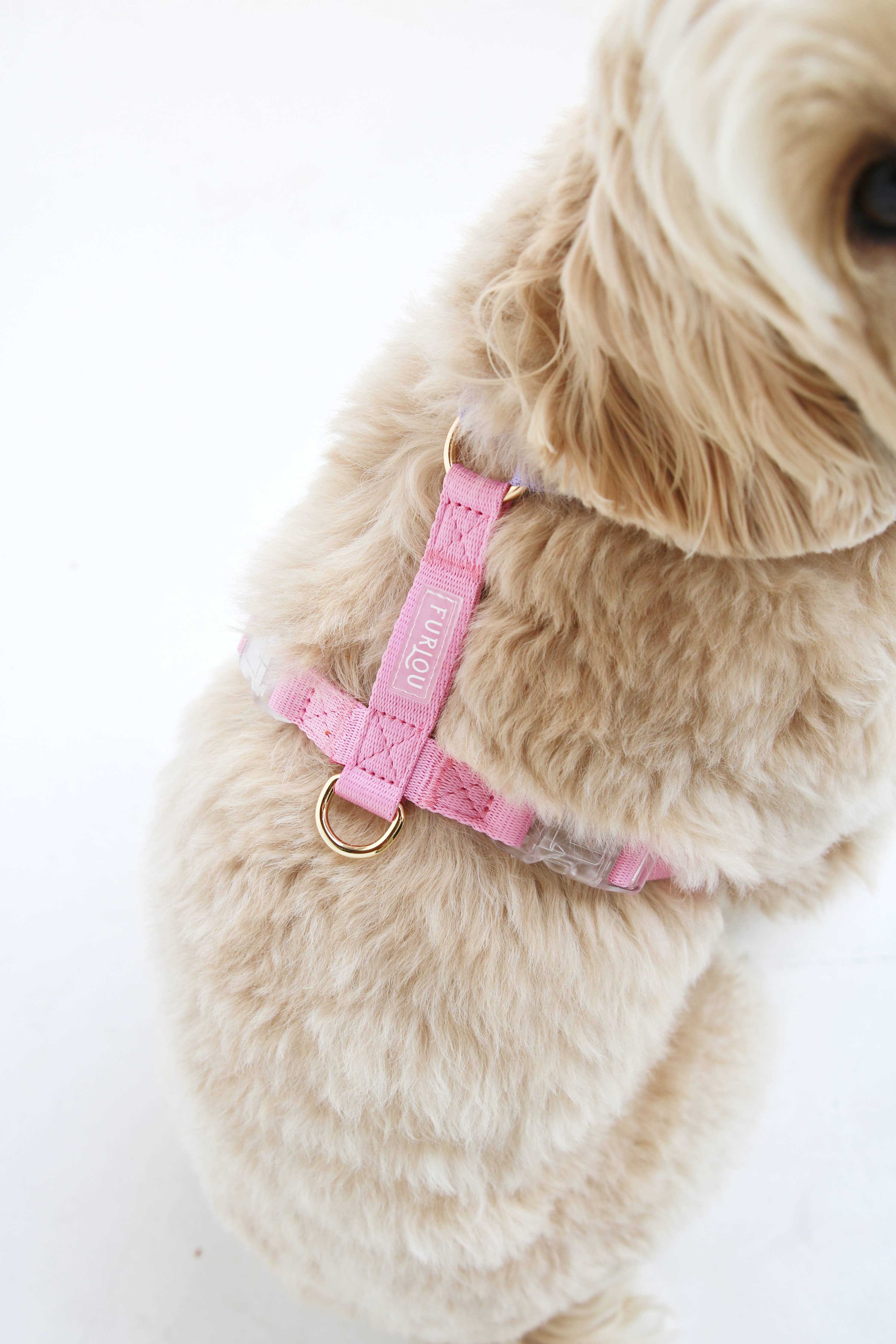 Lavender + Pink - Dog Harness