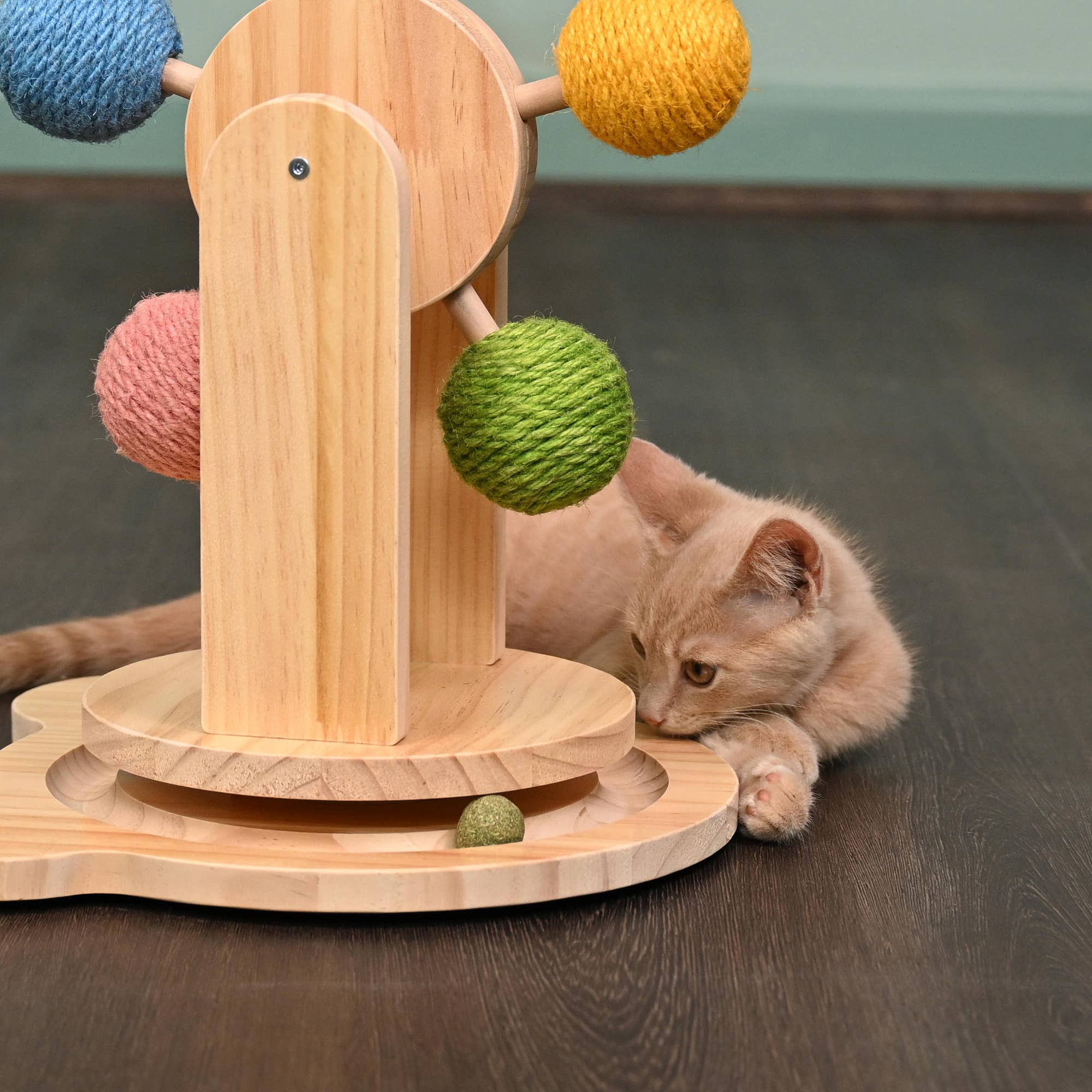Ferris Wheel Cat Post