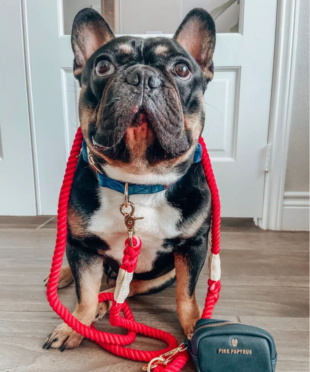 Karla Rope Dog Leash | Dog Leash | Red Leash