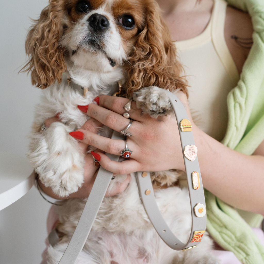 Moodies Leash