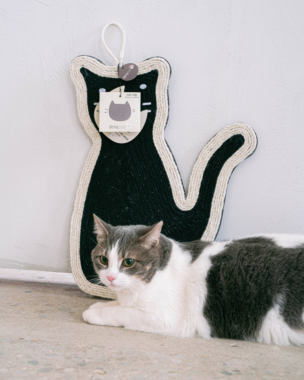 Sitting Cat Scratcher with Cat Nip