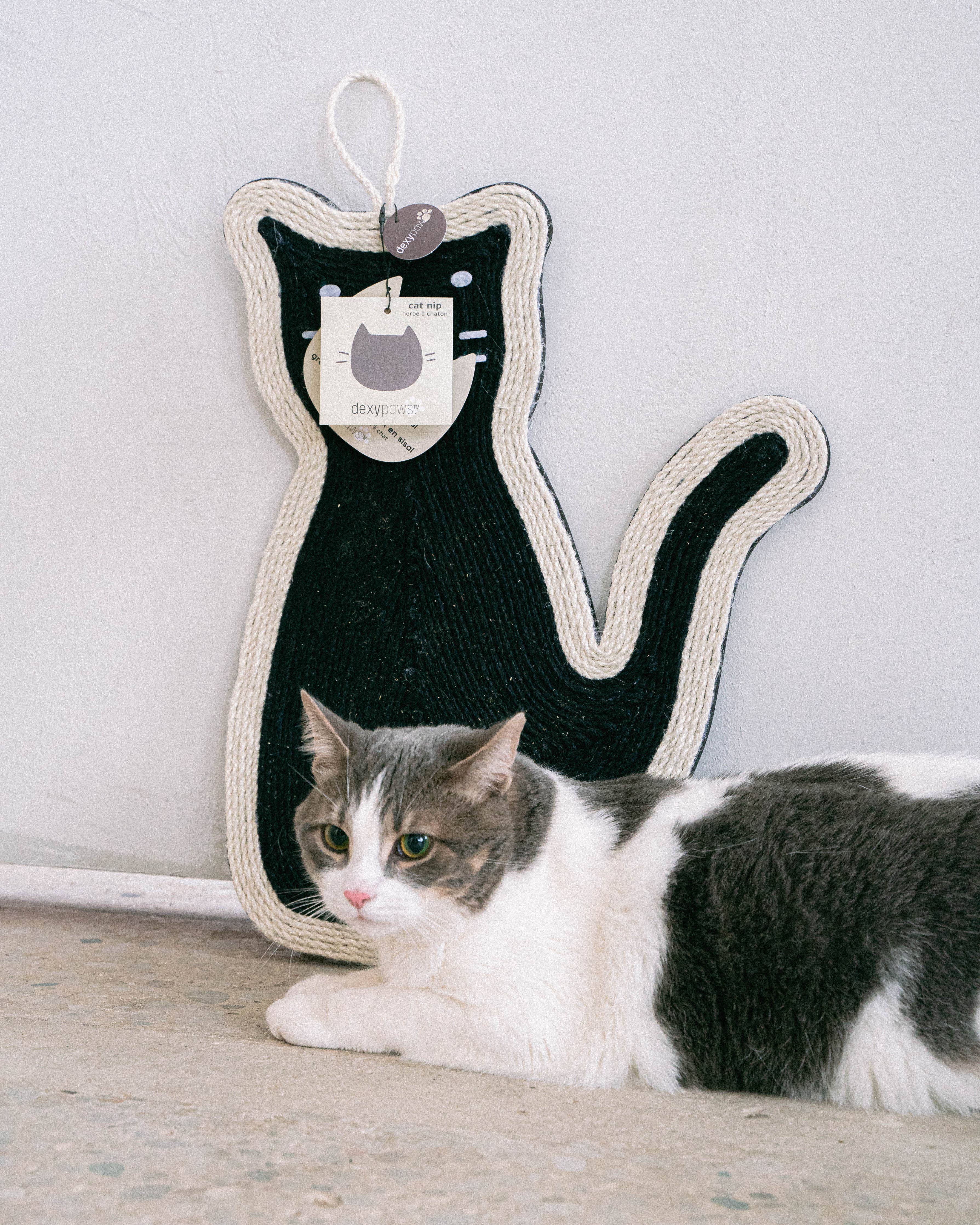 Sitting Cat Scratcher with Cat Nip