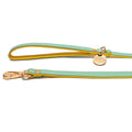 Sunshine Leather Leash