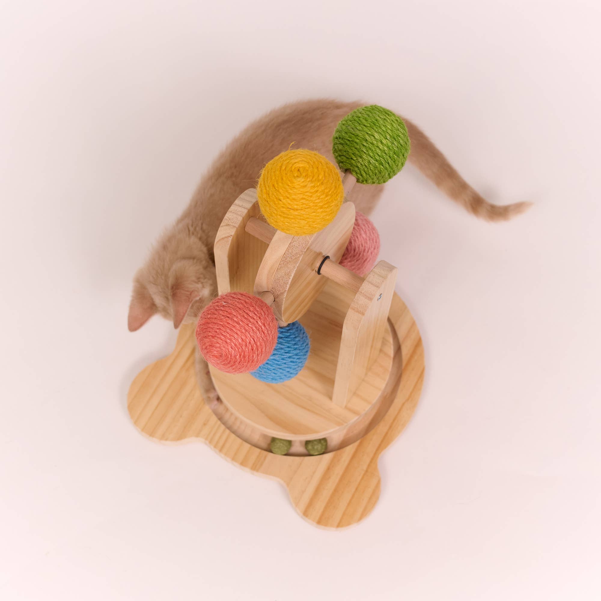 Ferris Wheel Cat Post