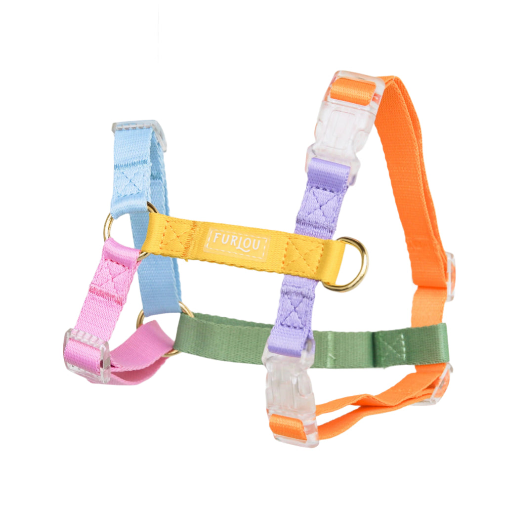 Rainbow - Dog Harness
