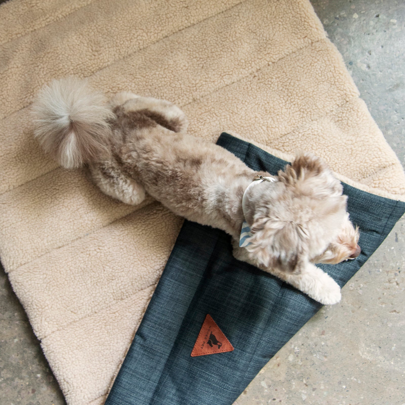 Nooee Pet Mat Jackson
