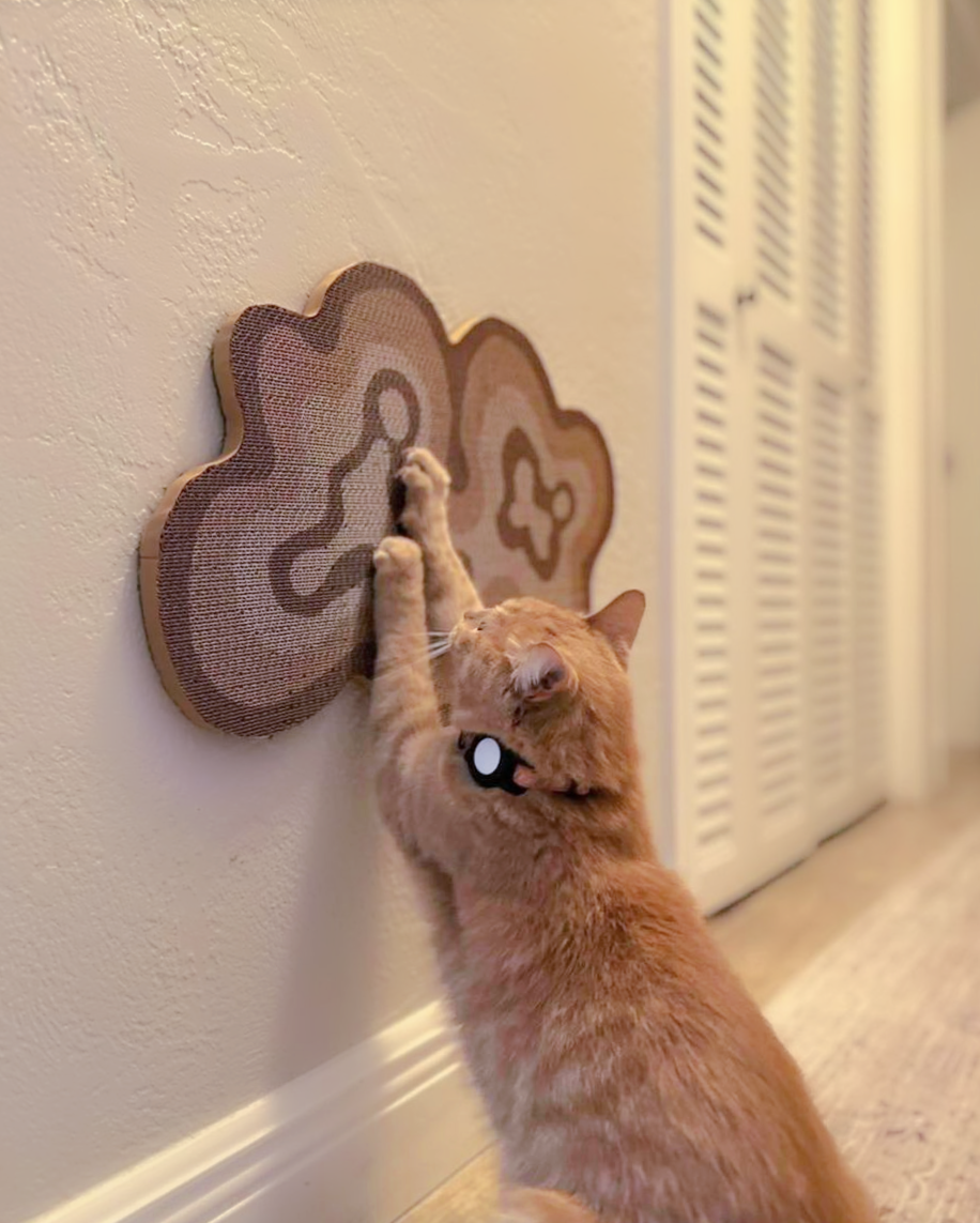 Bloom Scratcher