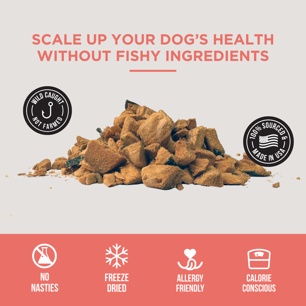 Freeze Dried Salmon