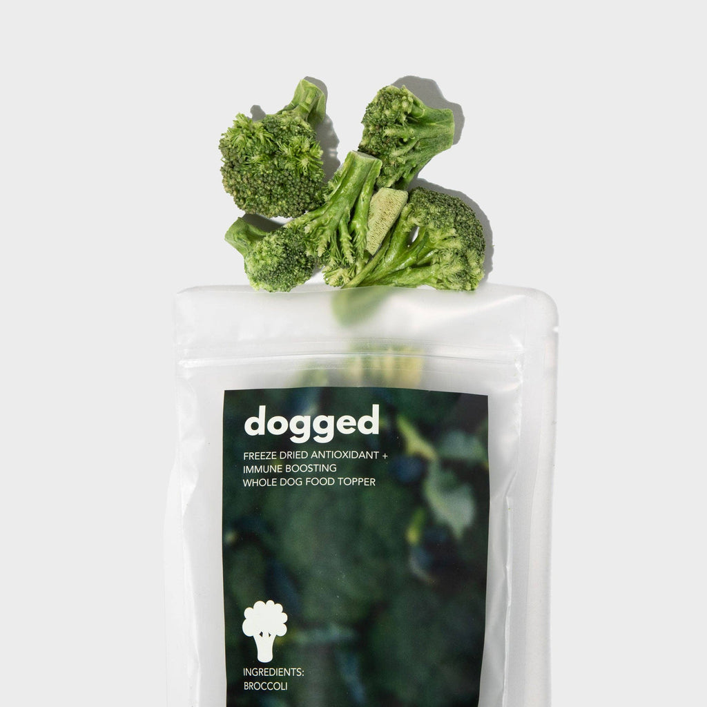 Dogged - Freeze Dried Broccoli Topper