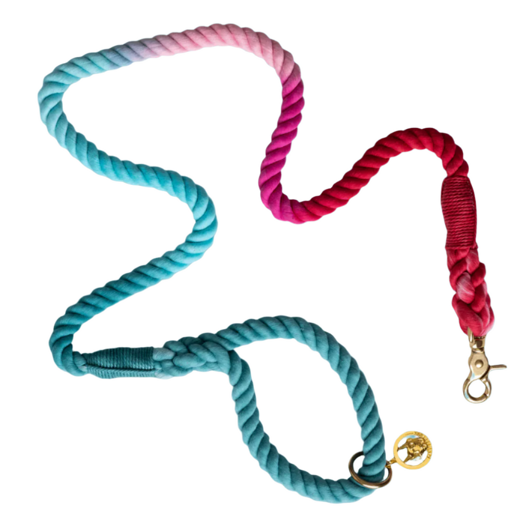 Micah Rope Dog Leash | Dog Leash | Ombre Leash