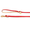 Red dog leash with gold hardware on a white background