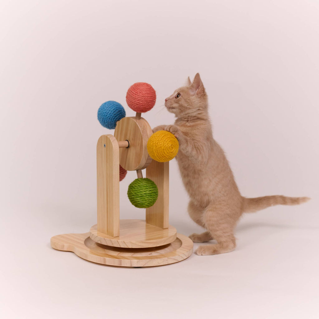 Ferris Wheel Cat Post