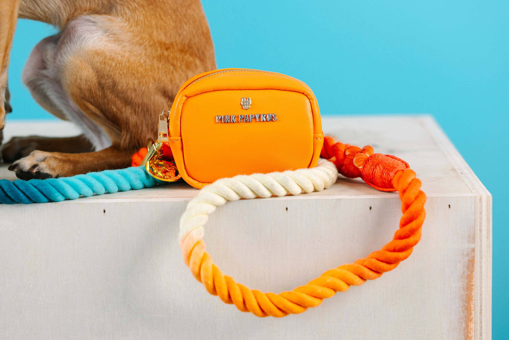 Beau Rope Dog Leash | Dog Leash | Blue And Orange Leash
