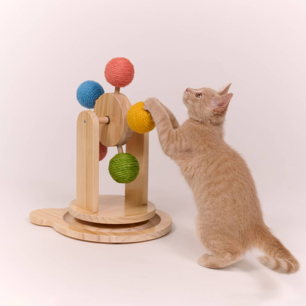 Ferris Wheel Cat Post
