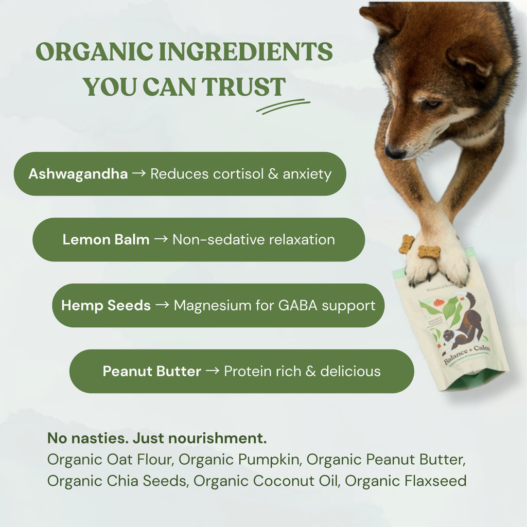 Balance + Calm Cookies - All Natural, Organic Dog Treats
