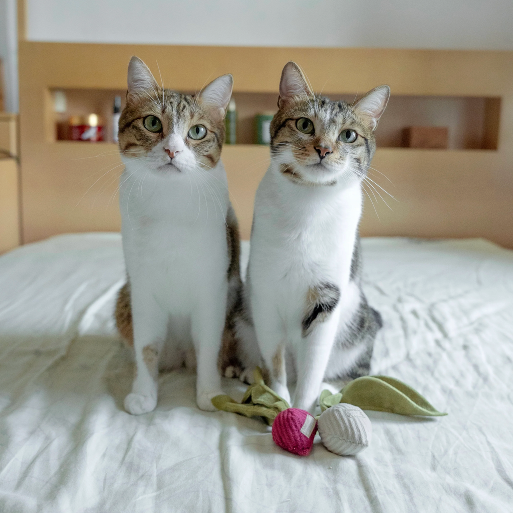 Radish Cat Toy