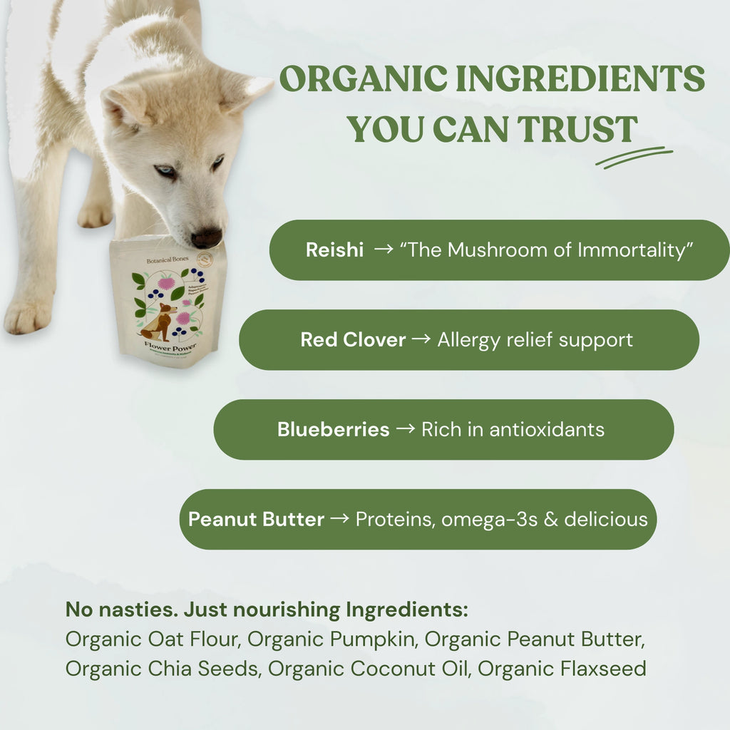 Flower Power Cookies - All Natural, Organic Dog Treats