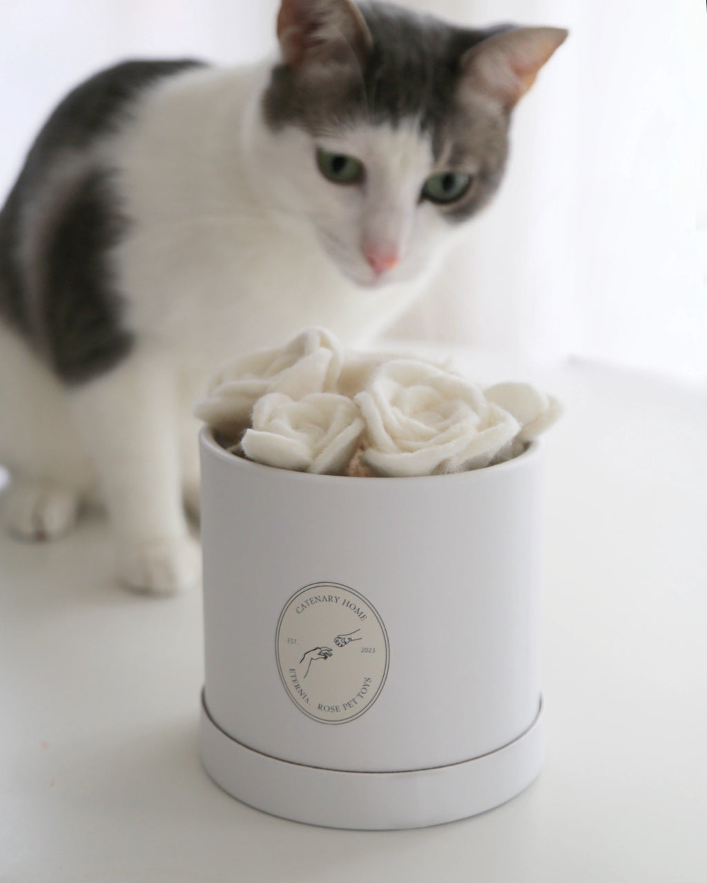 Flora Eterna Pet Toybox - Set of Rose Toys