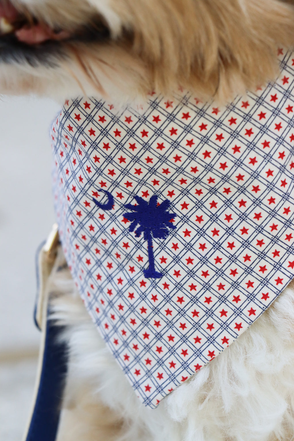 Lowcountry Bandana