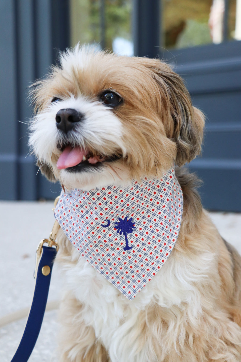 Lowcountry Bandana