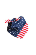 American Flag Bandana