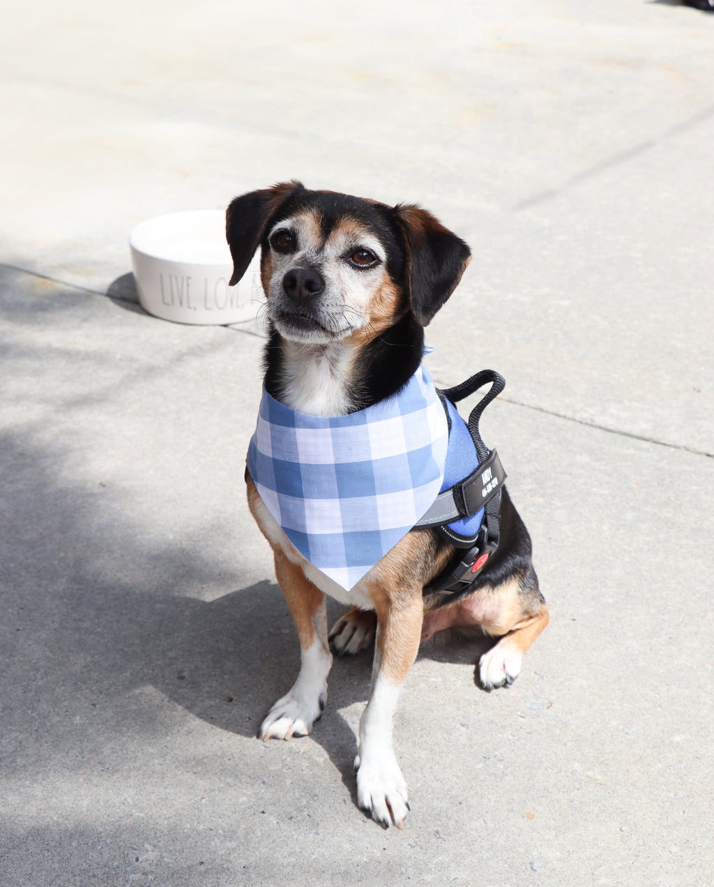 Reversible Gingham Bandana