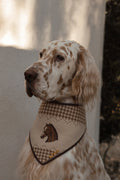 Sterling Bandana
