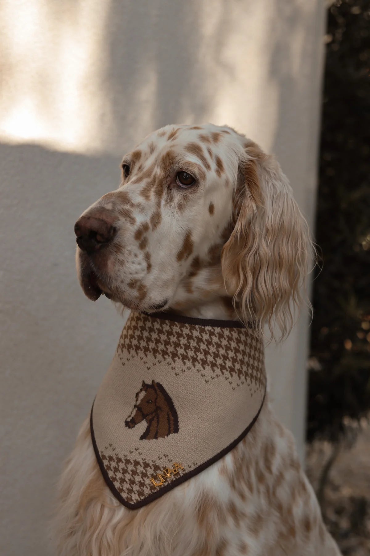 Sterling Bandana
