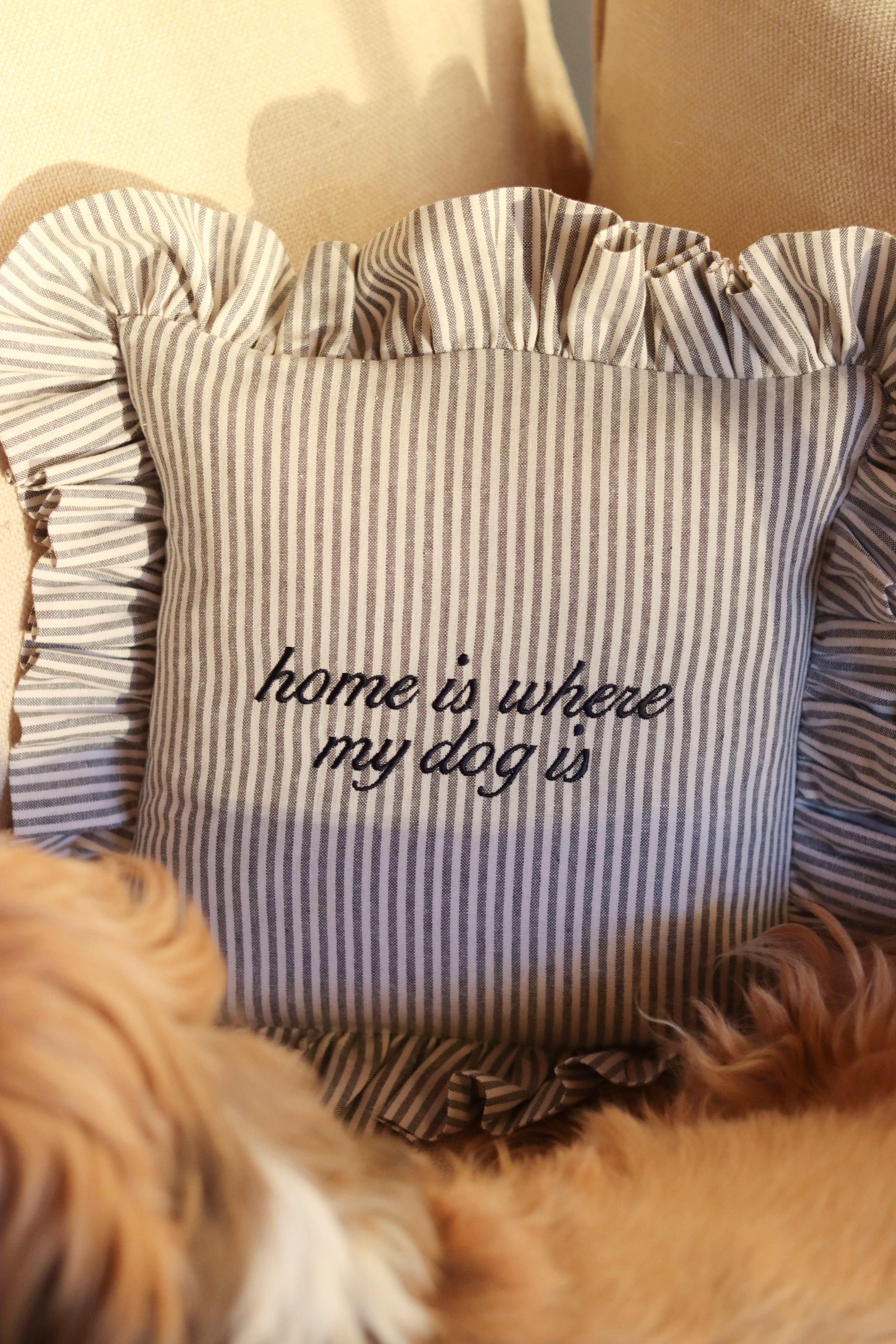 "Home is Where My Dog Is" Embroidered Ruffle Pillow