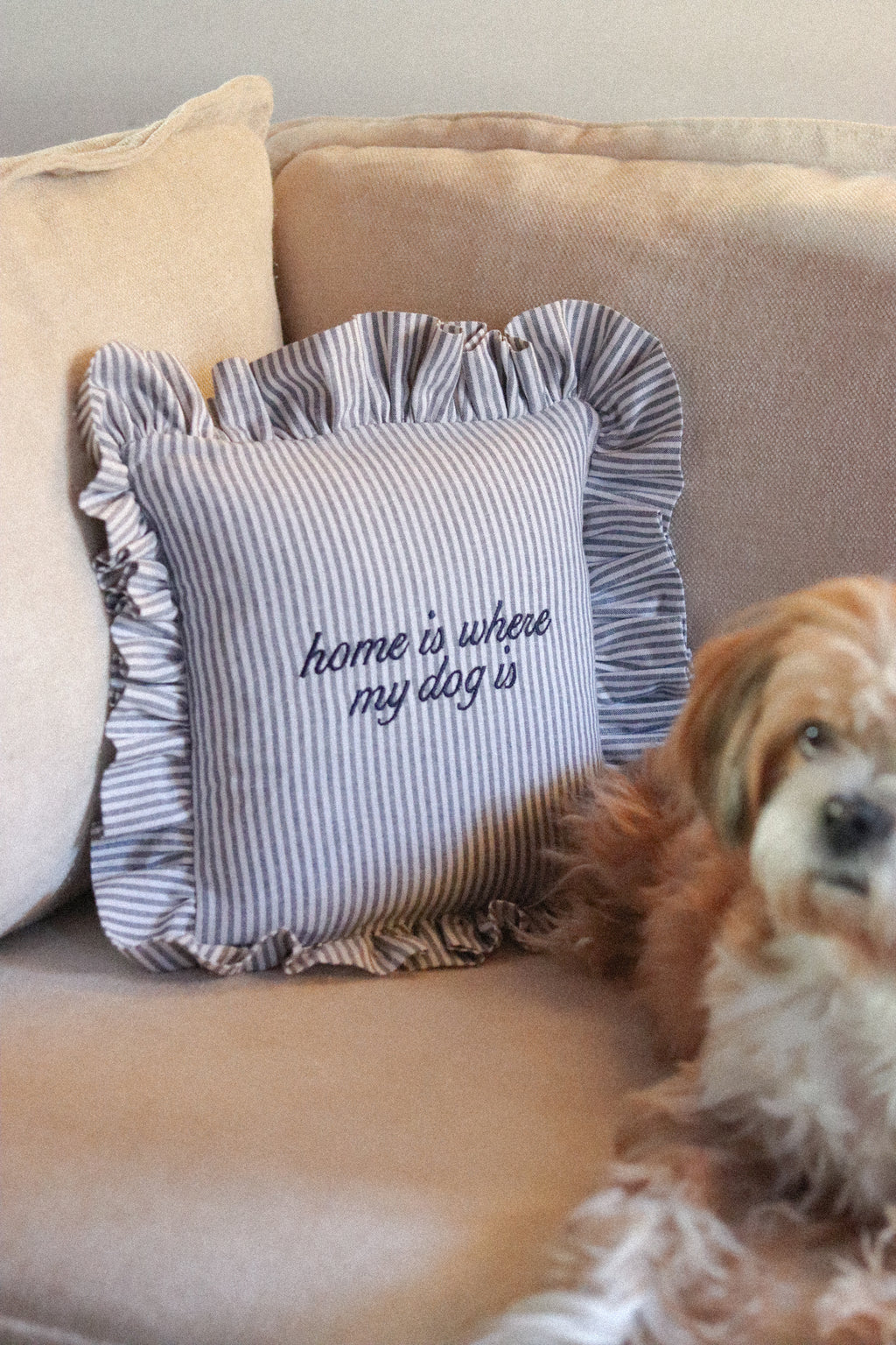 "Home is Where My Dog Is" Embroidered Ruffle Pillow