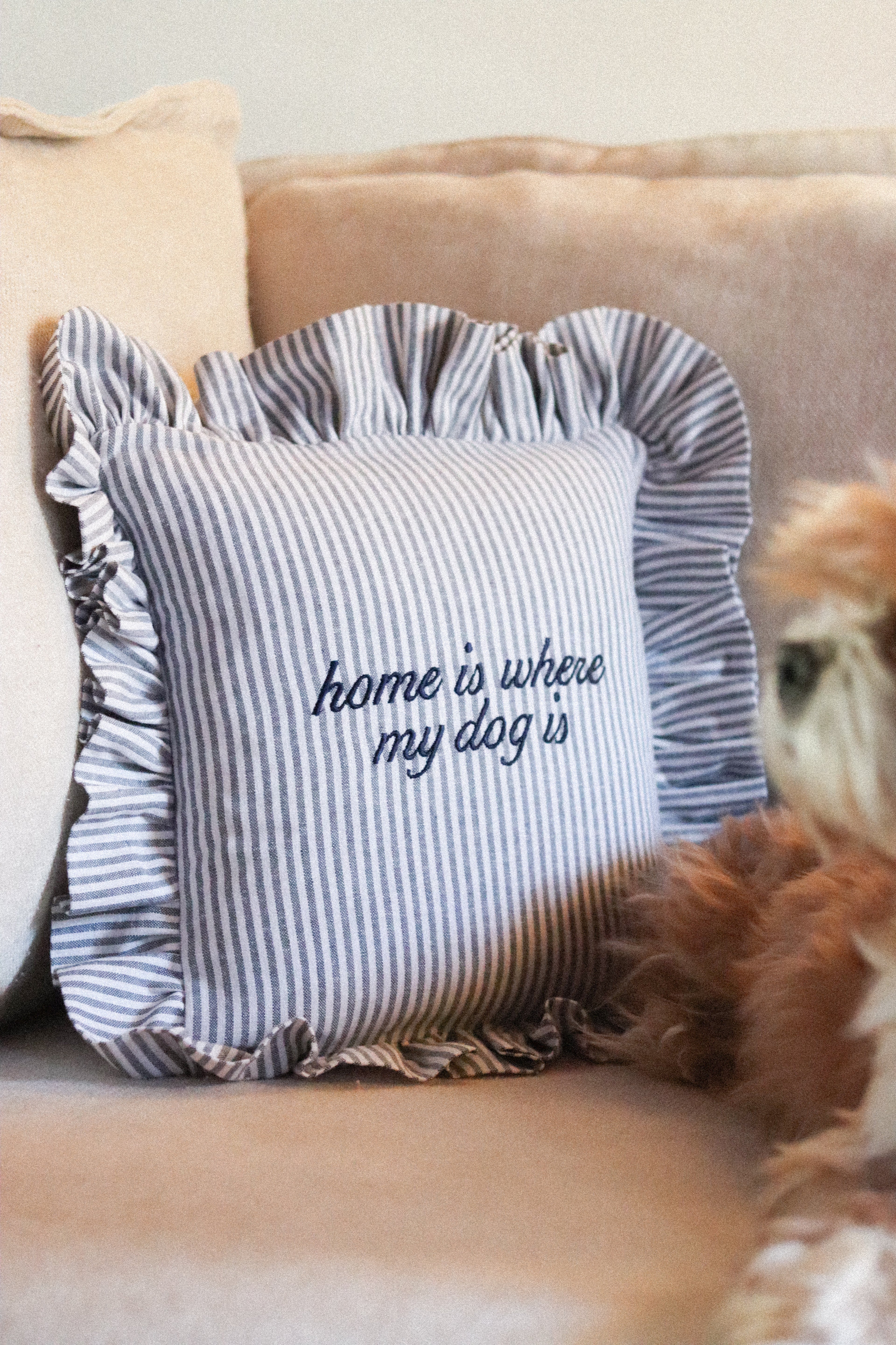 "Home is Where My Dog Is" Embroidered Ruffle Pillow