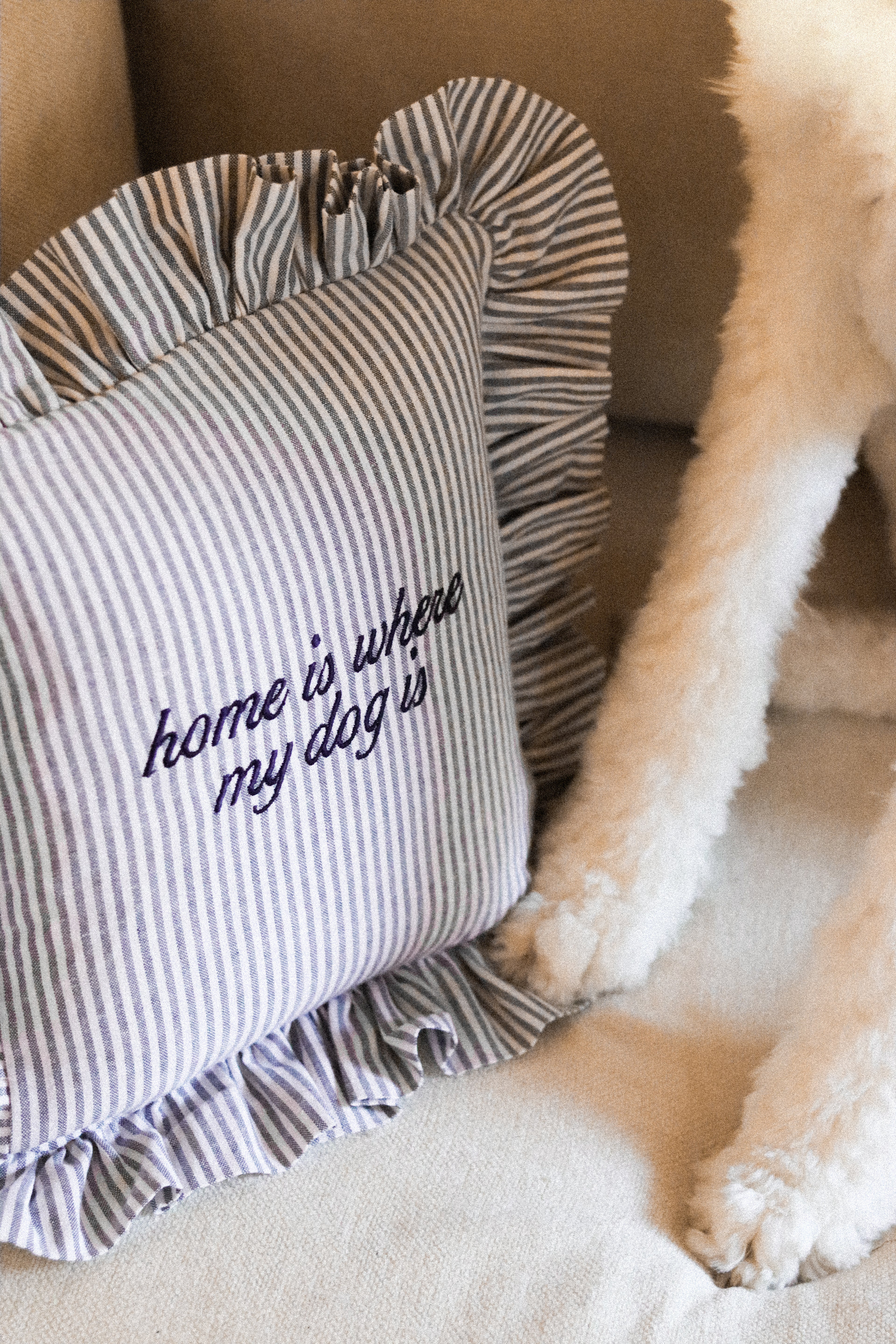 "Home is Where My Dog Is" Embroidered Ruffle Pillow
