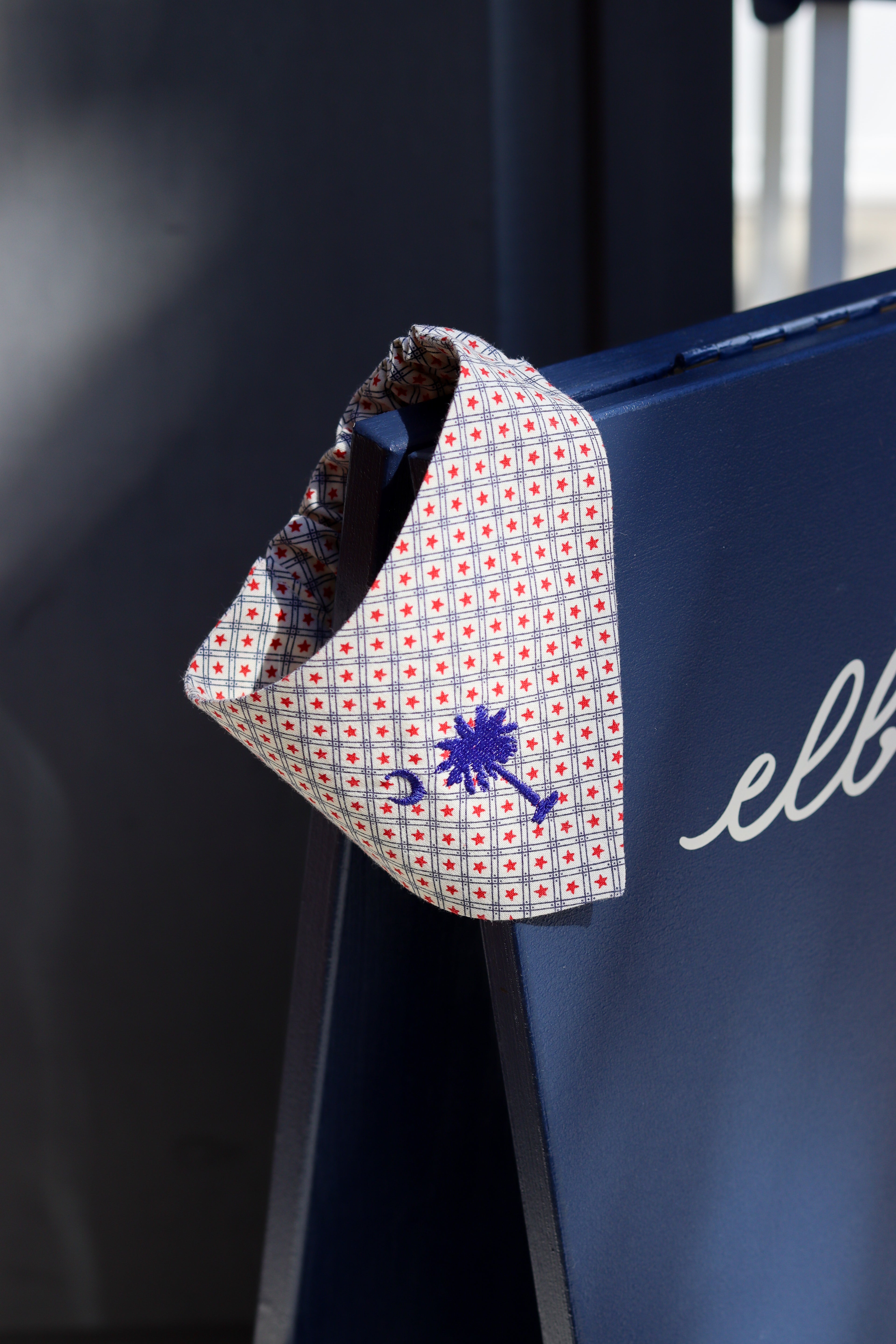 Lowcountry Bandana