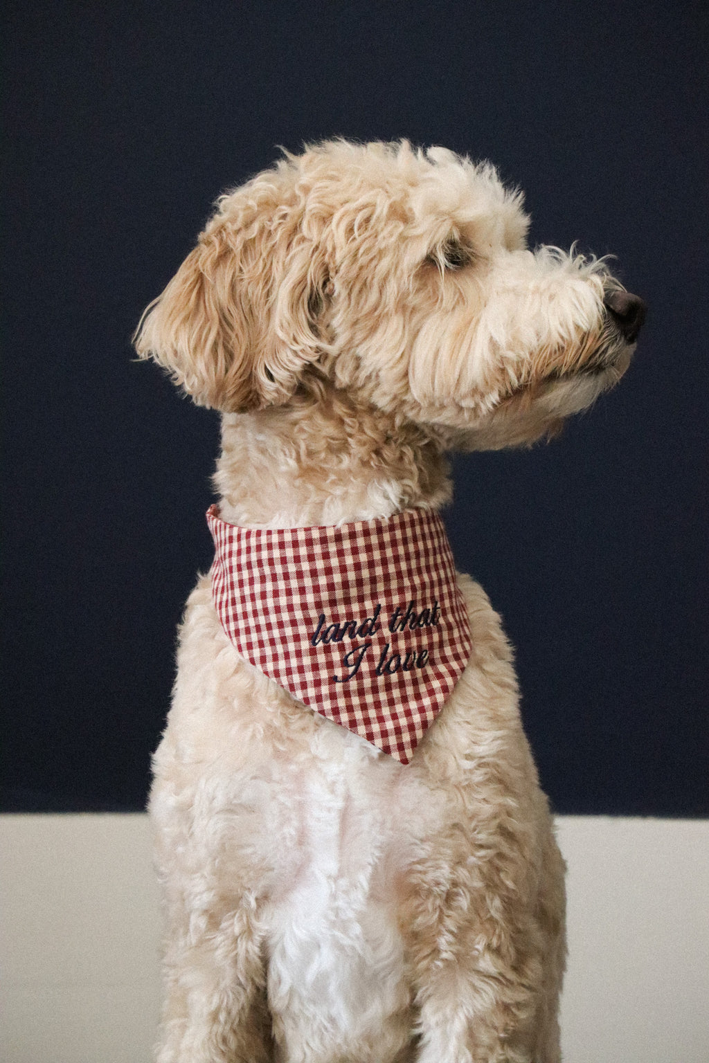 Heritage Bandana