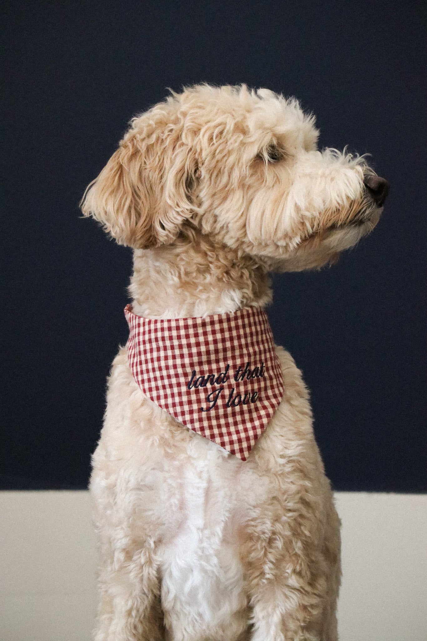 Heritage Bandana