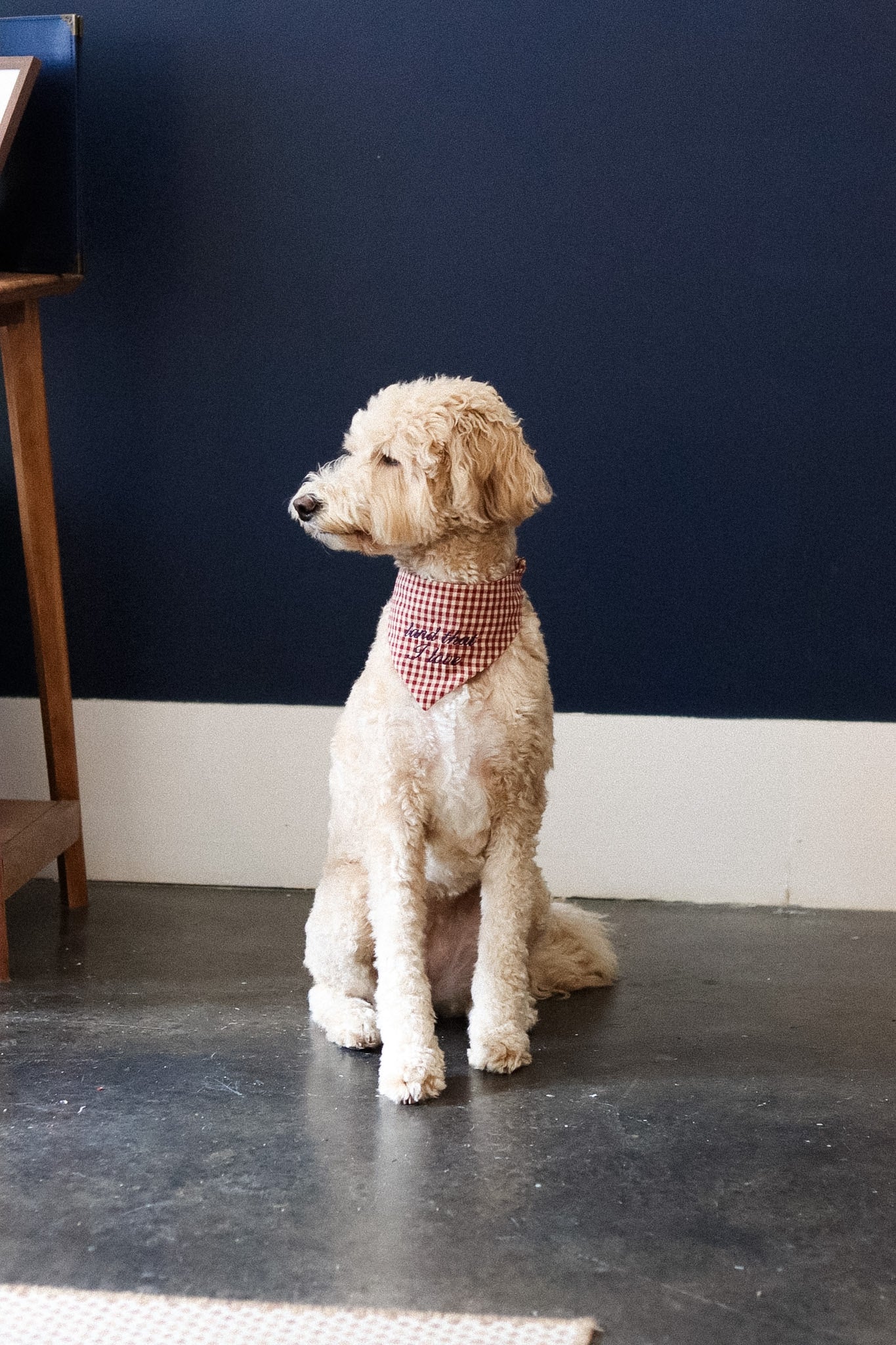 Heritage Bandana