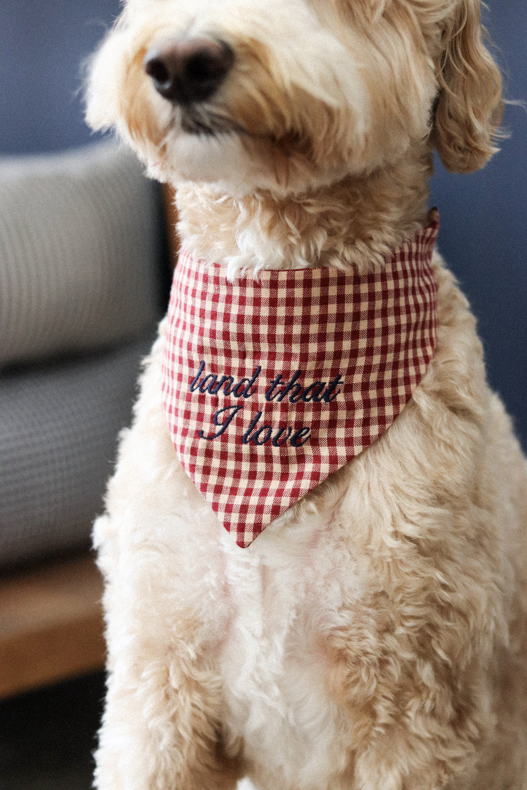 Heritage Bandana