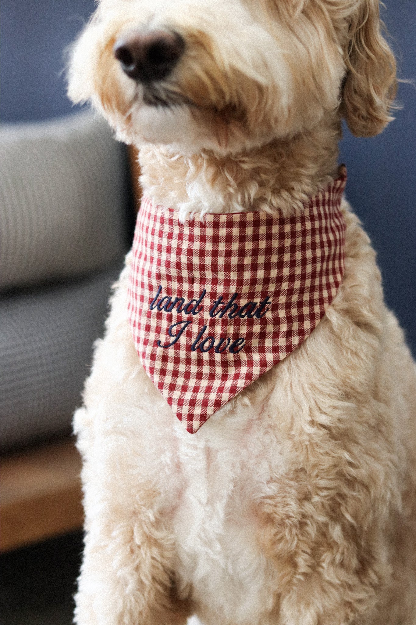 Heritage Bandana